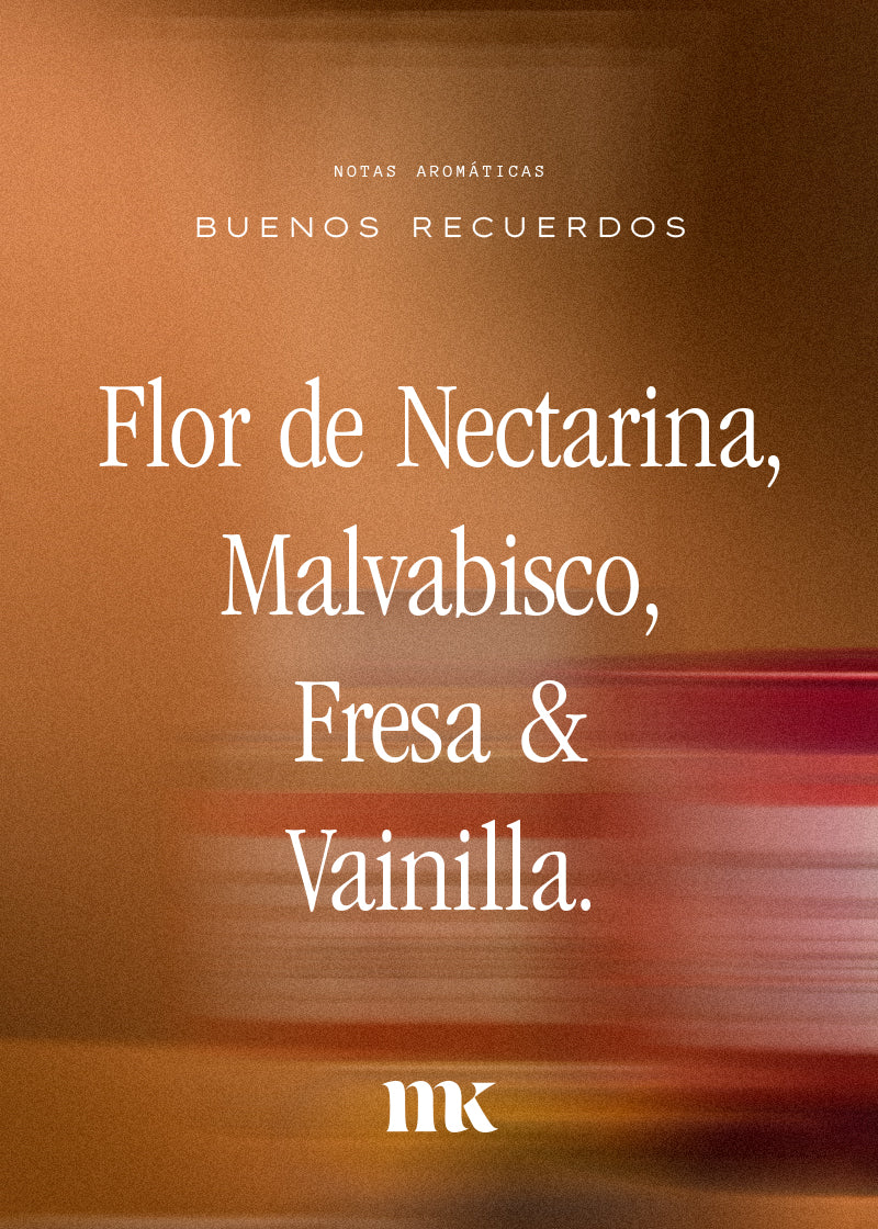 Difusor Buenos Recuerdos 120ml