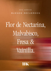 Difusor Buenos Recuerdos 120ml