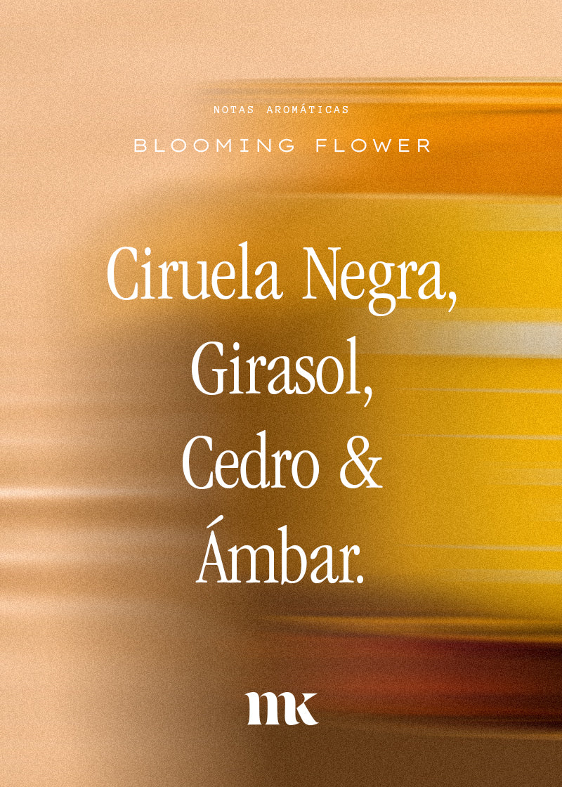 Mexikandela_VelasC__0001_VelaBloomingFlower.jpg